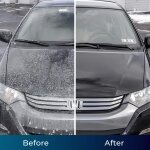 Hose Hawk Pressure Washer Image